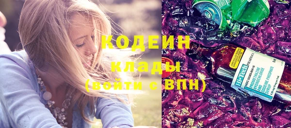 гидра Вяземский