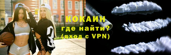 гидра Вяземский