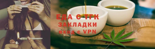 гидра Вяземский