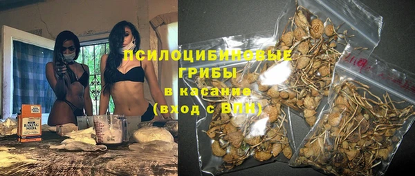 гидра Вяземский