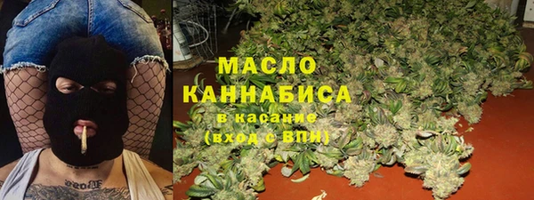 гидра Вяземский