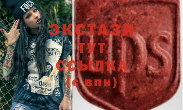гидра Вяземский