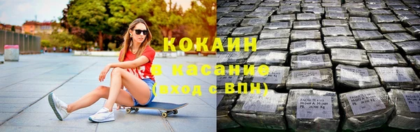 гидра Вяземский