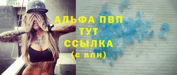 гидра Вяземский