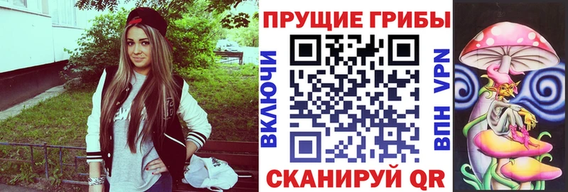 Галлюциногенные грибы Magic Shrooms купить цена Тула